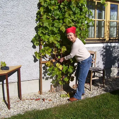 Log 아파트 마우어테른도르프