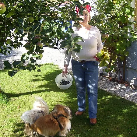 Log Apartment Mauterndorf (Salzburg)