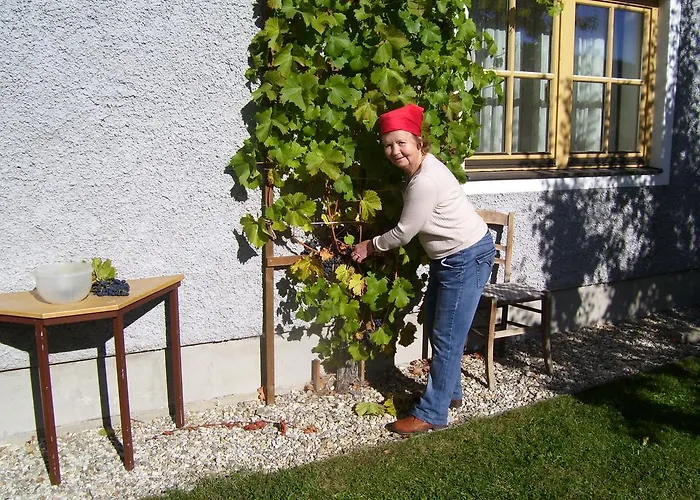 Log Appartamento Mauterndorf (Salzburg)