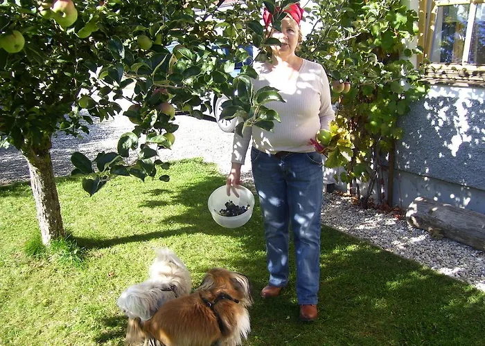 Log Appartamento Mauterndorf (Salzburg)